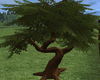 Large Tree with Poses