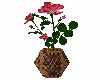 Vase Roses in vase