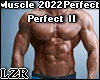 Muscle Body Perfect II