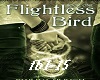 Twilight-flightless bi