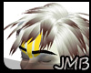[JMB]U of M Wolverine H