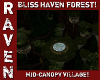 BLISS HAVEN FOREST!