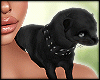 ♡ Blk Ferret Animated