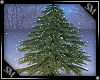 Christmas Tree3