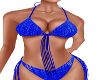 Sassie Blue Bikini