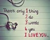 Plain White Ts 1234