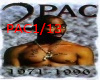2PAC Changes -  RMX