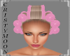 *CM* HAIR ROLLERS - ASHE