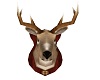 deer head trophy 