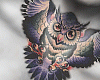 Owl School
