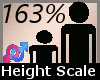 Height Scale 163% F