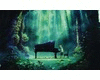 Nature Piano+music