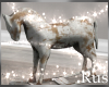 Rus Bliss Worn Horse