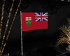 *LED*Ontario Flag Animat