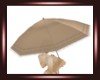 ~S~ Edwardian Umbrella