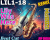 Lily Was Here Violin RmX
