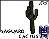 N}nw Saguaro Cactus_01