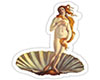 Venus cutout