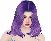 caenis purple