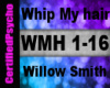 WS - Whip my hair