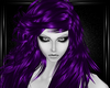 purple dany hairs