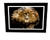 lion frame