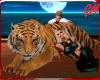 ƓM💘 We Got Tiger 