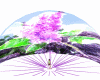 Demi dome lilas 