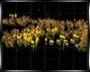 $ Flowers Field Animated