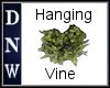 Hanging Vine