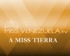 Crown Miss Tierra Vzla