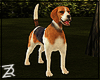 !R Beagle Animated