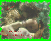 Promise Lands Logo