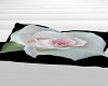 White Rose Pillow