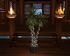 Paradise Lighted Plant
