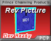PCP~Revolving Picture