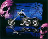 Skull bike