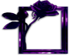 Purple/Black Rose Frame