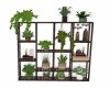 Large Plant Shelf