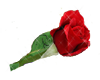 Mec red rose -R- sticker
