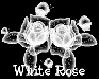 ~The White Rose~