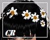 Flower Crown