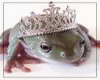 Frog prince