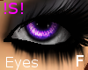 !S! Purple Eyes