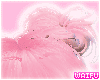 mashia! pink
