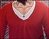 Zrk! Sweater Red