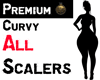 Premium Curvy All Scaler