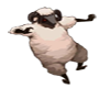 Catherine sheep 2