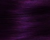 wedding purple