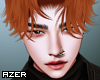 Az. Alex In Carrot